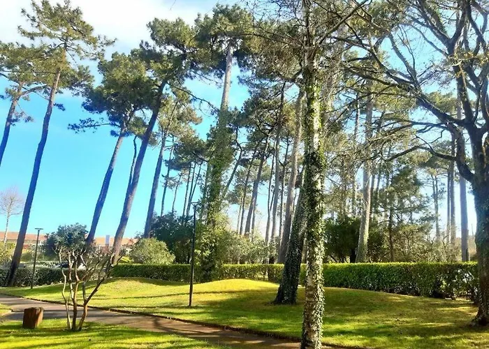 Golf Et Ocean Daire Moliets-et-Maa