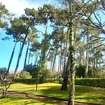 Golf Et Ocean Apartment Moliets-et-Maa