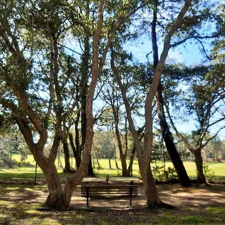 Appartement Golf Et Ocean Apartment