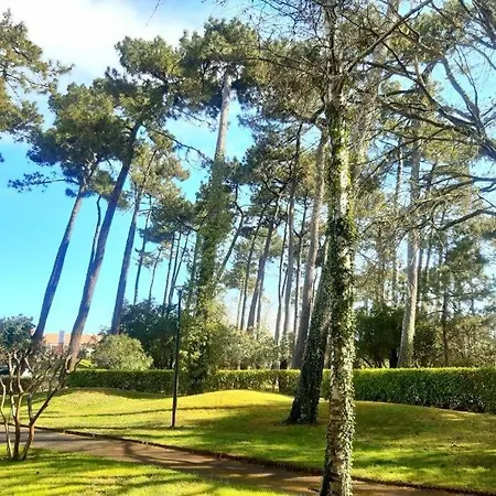 Appartement Golf Et Ocean Apartment Moliets-et-Maa